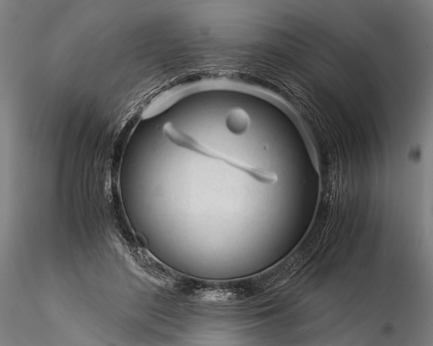 X0000116390500200912161527