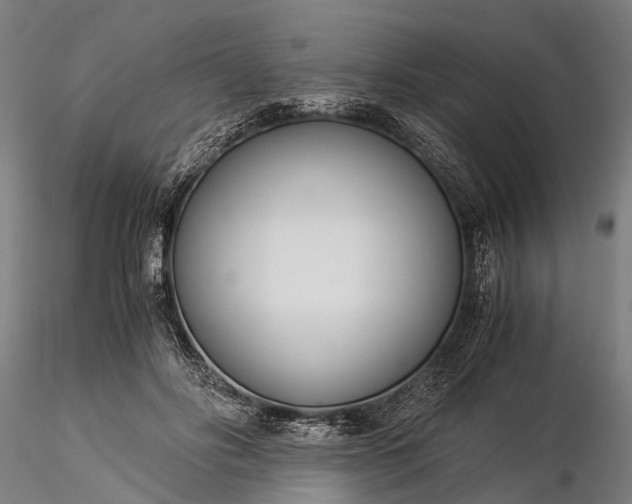 X0000116390502200912161527