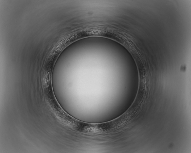 X0000116390503200912161527