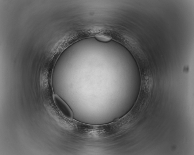 X0000116390504200912161527