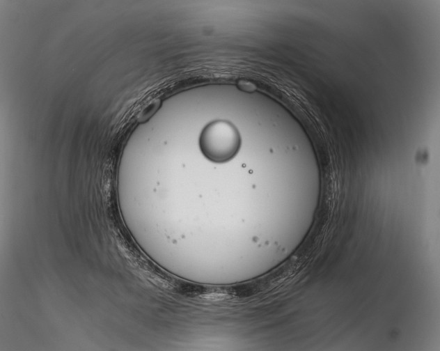 X0000116390505200912161527