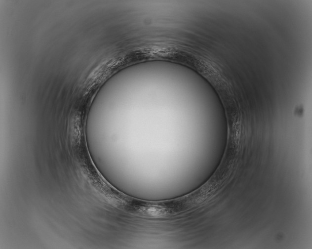 X0000116390506200912161527
