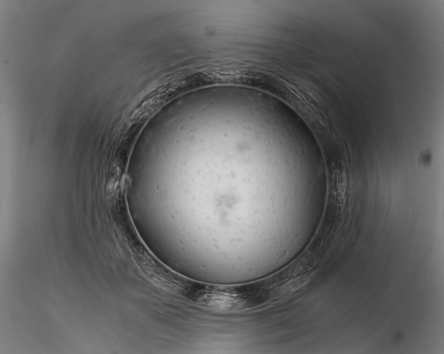 X0000116390507200912161527