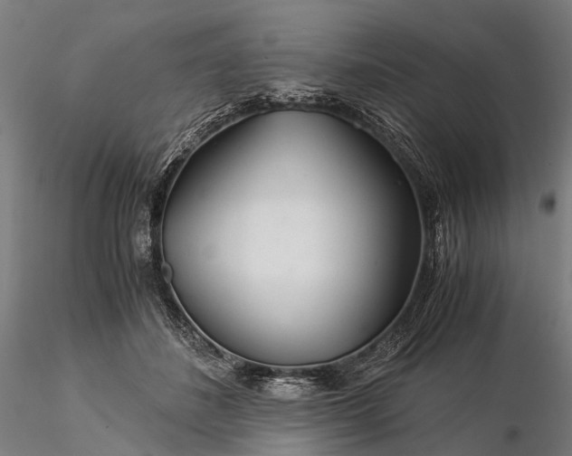 X0000116390508200912161527