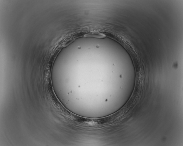X0000116390509200912161527