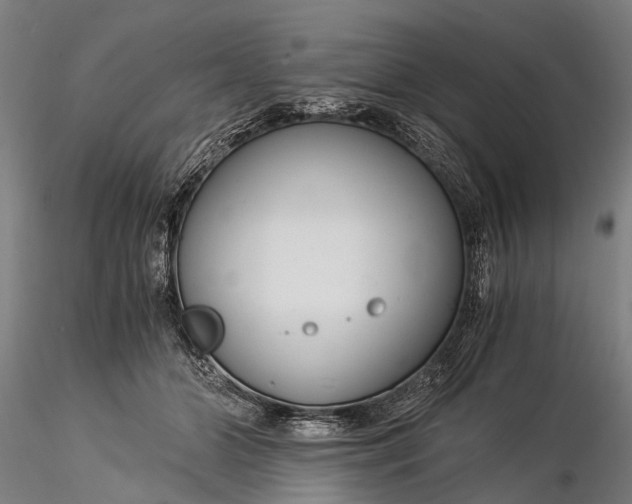 X0000116390510200912161527