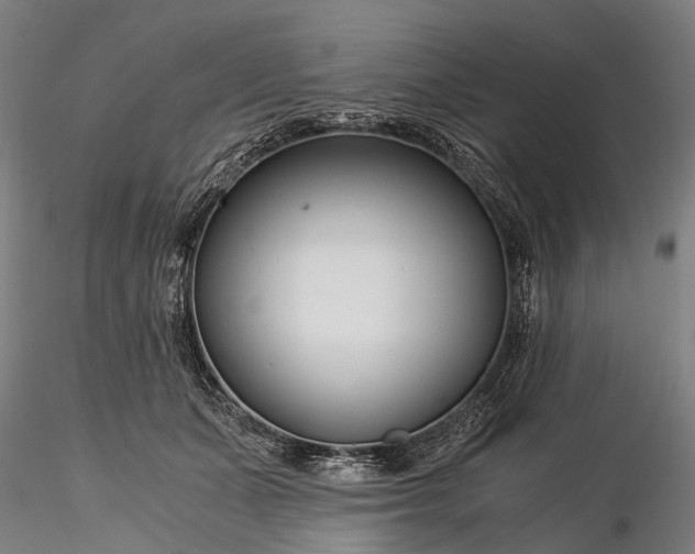 X0000116390511200912161527