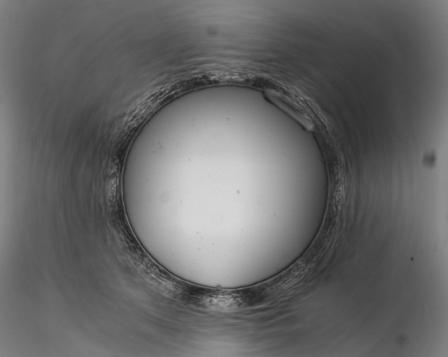 X0000116390513200912161527