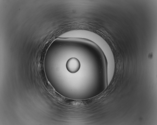 X0000116390520200912161527