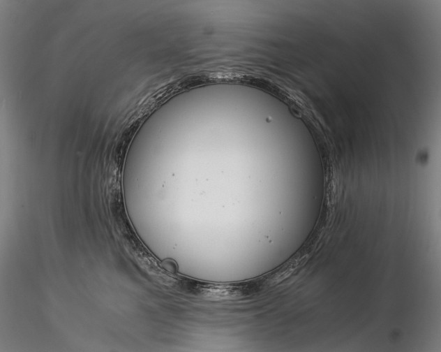 X0000116390521200912161527