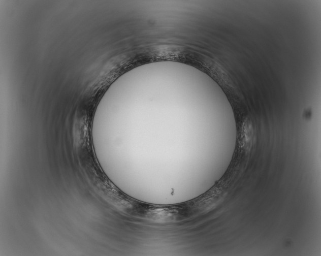 X0000116390522200912161527