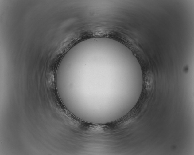 X0000116390523200912161527