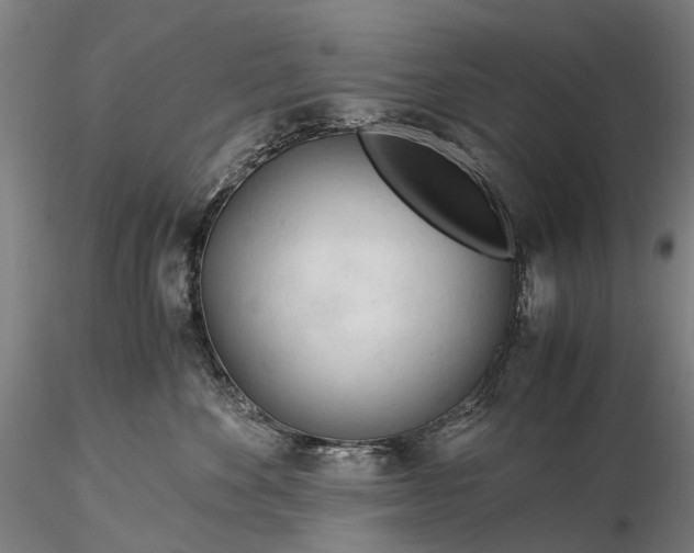 X0000116390524200912161527
