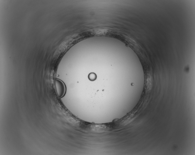 X0000116390525200912161527