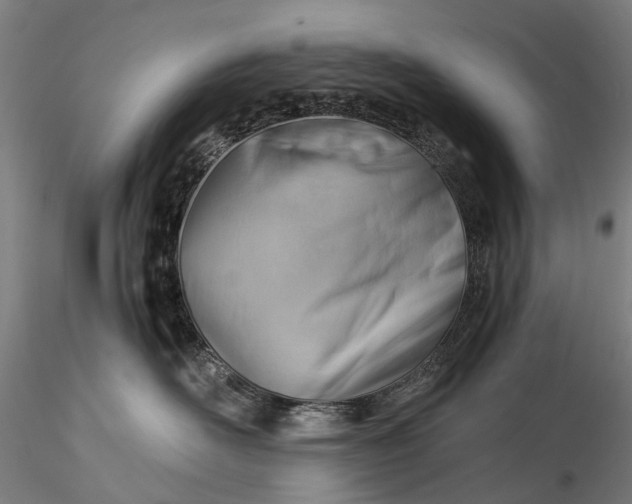 X0000116390526200912161527