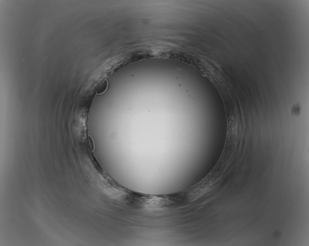 X0000116390527200912161527