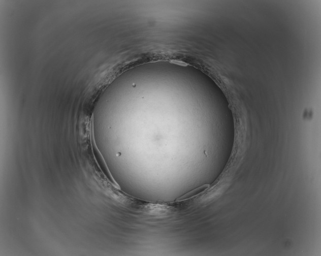 X0000116390528200912161527