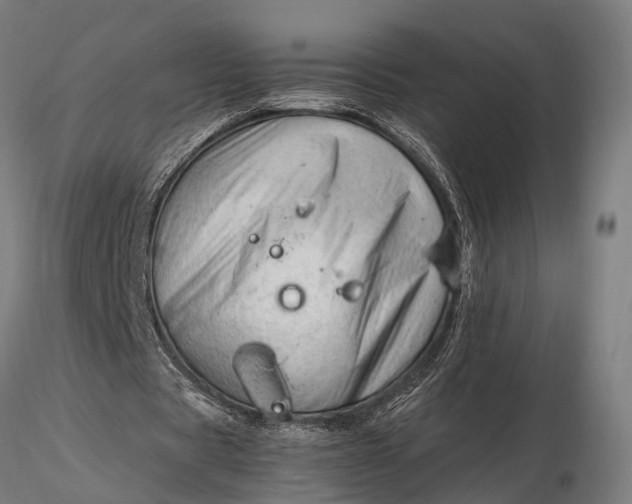 X0000116390529200912161526