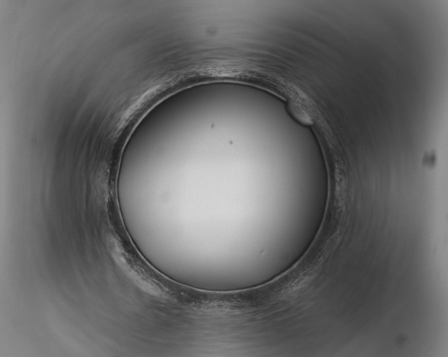 X0000116390530200912161526