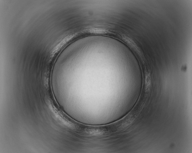 X0000116390533200912161526