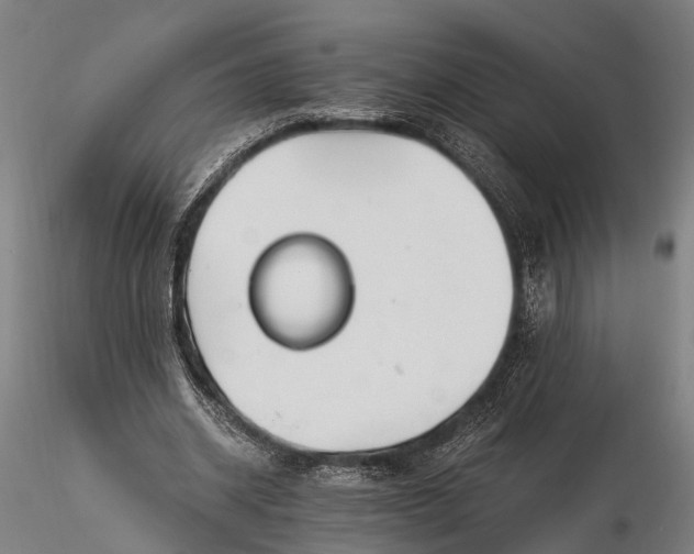 X0000116390534200912161526