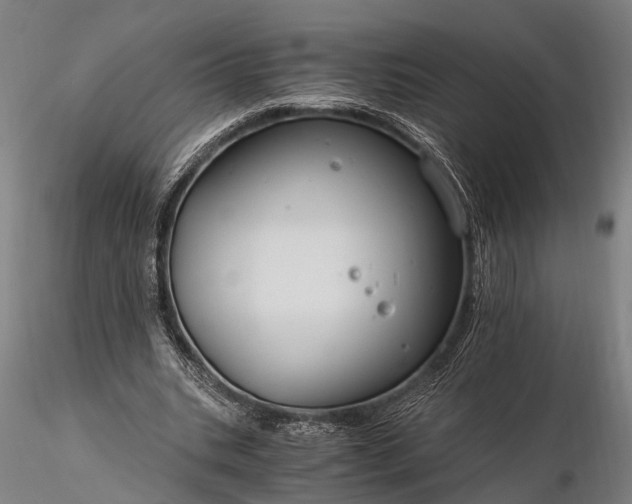 X0000116390535200912161526
