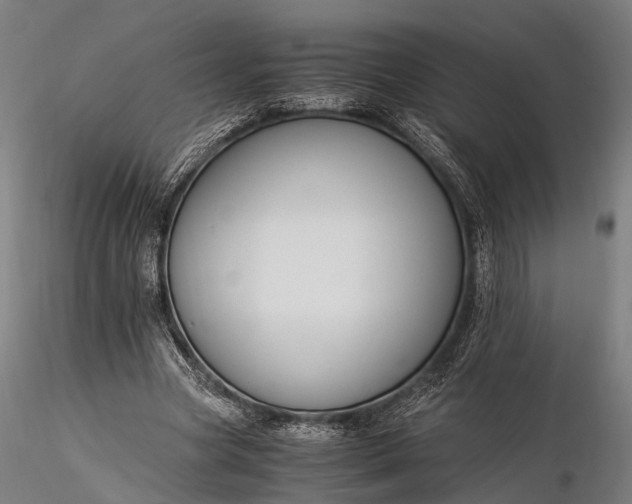 X0000116390537200912161526