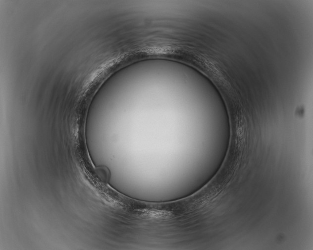X0000116390539200912161526