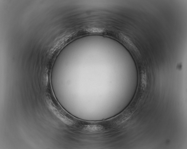 X0000116390541200912161526