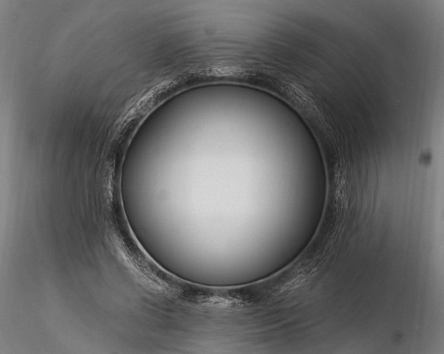 X0000116390542200912161526