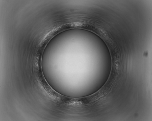 X0000116390543200912161526