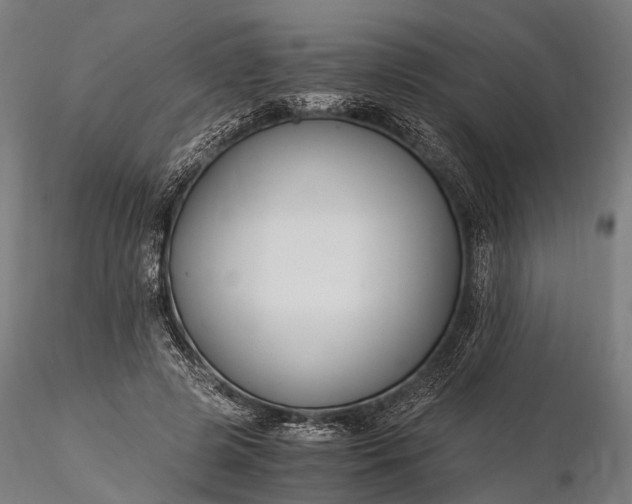 X0000116390545200912161526