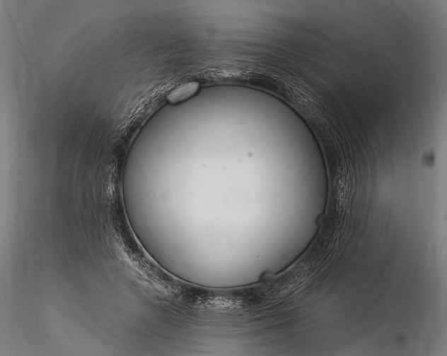 X0000116390546200912161526