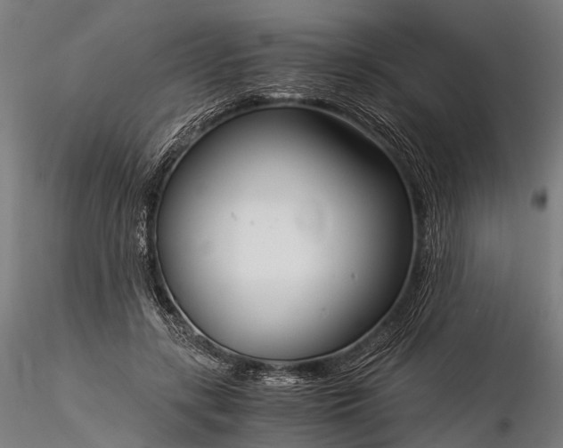 X0000116390547200912161526