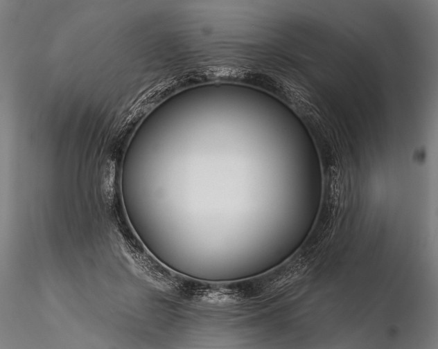 X0000116390550200912161527
