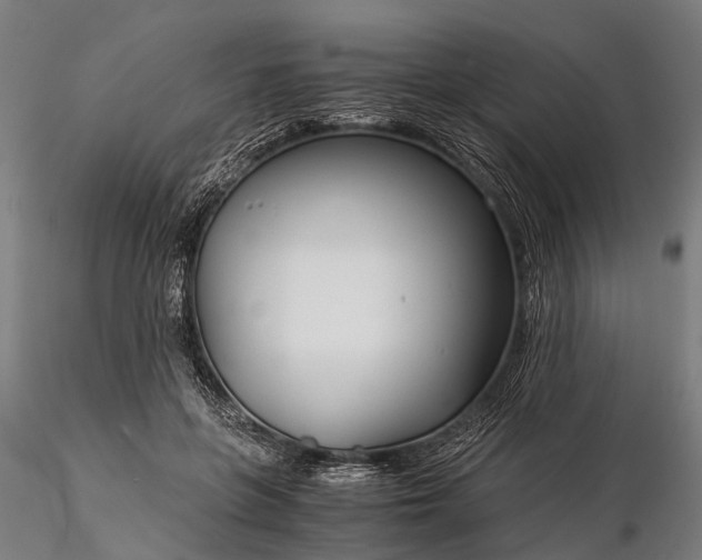 X0000116390551200912161527