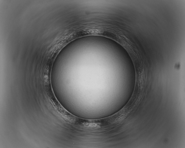 X0000116390553200912161527