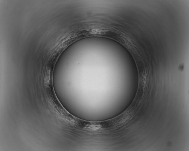 X0000116390554200912161527