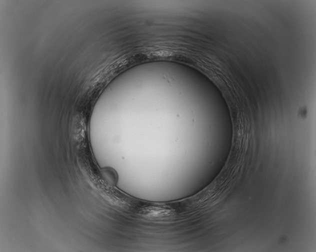 X0000116390555200912161527