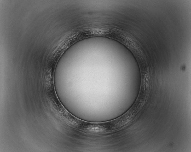 X0000116390557200912161527