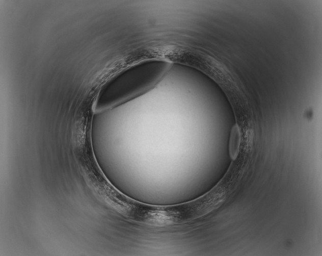 X0000116390558200912161527