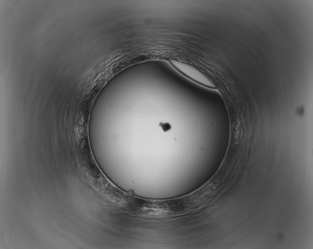 X0000116390559200912161527