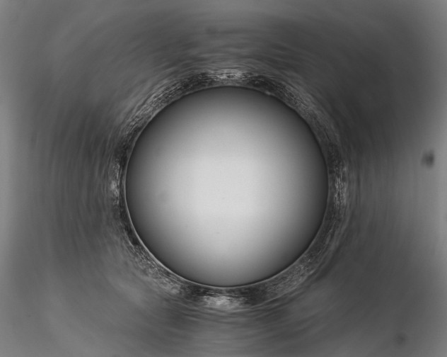 X0000116390561200912161527