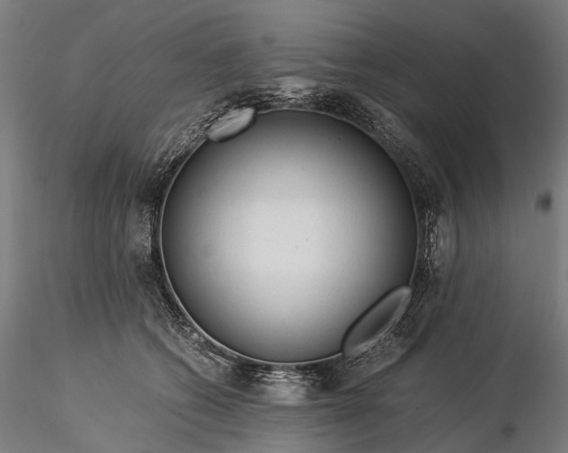 X0000116390562200912161527