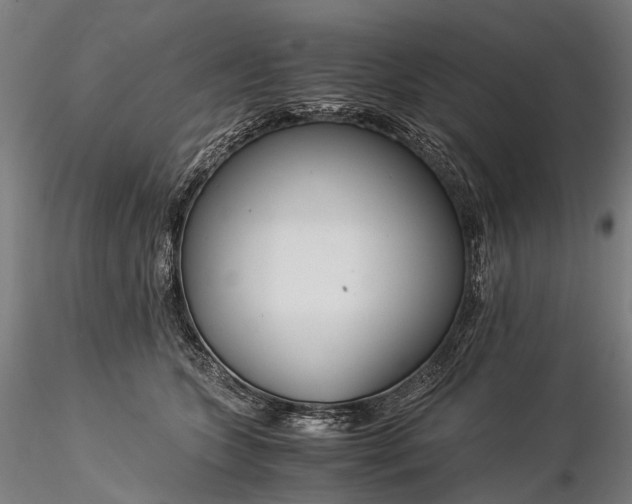 X0000116390563200912161527