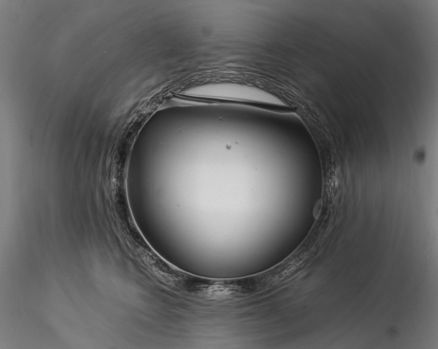 X0000116390566200912161527