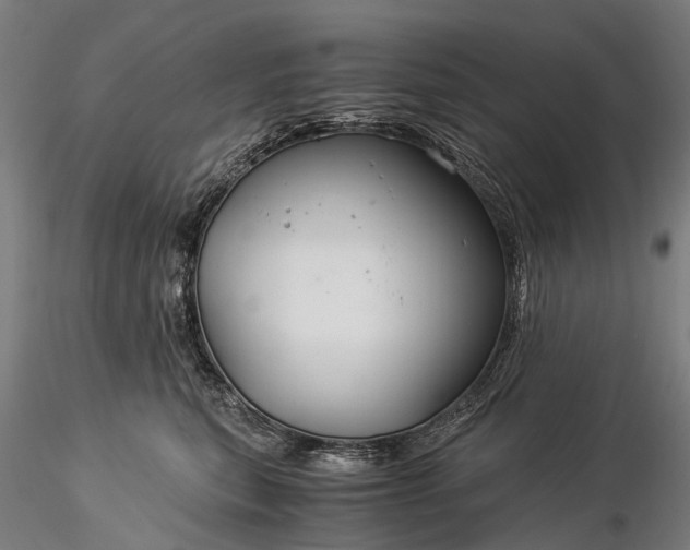 X0000116390567200912161527