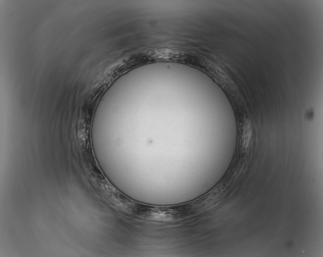 X0000116390569200912161527