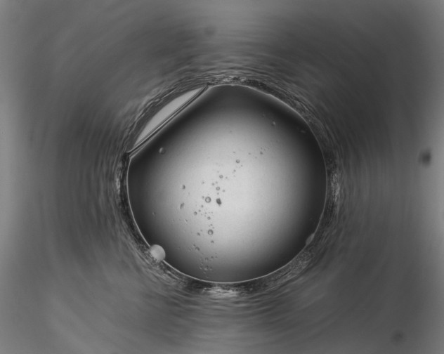 X0000116390570200912161527