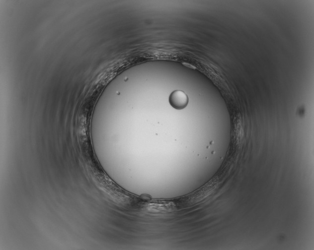 X0000116390571200912161527